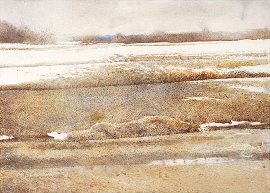 Andrew Wyeth Watercolor Palette